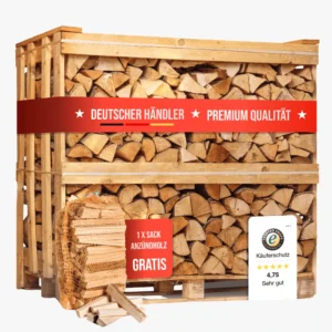 Kaminholz Buche kammergetrocknet | 1 RM